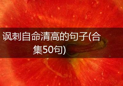 讽刺自命清高的句子(合集50句)