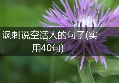讽刺说空话人的句子(实用40句)
