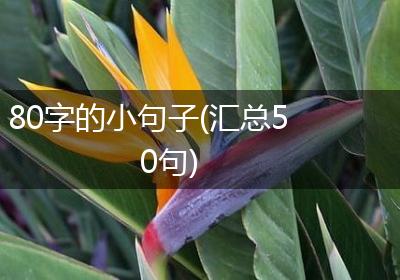 80字的小句子(汇总50句)