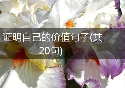 证明自己的价值句子(共20句)