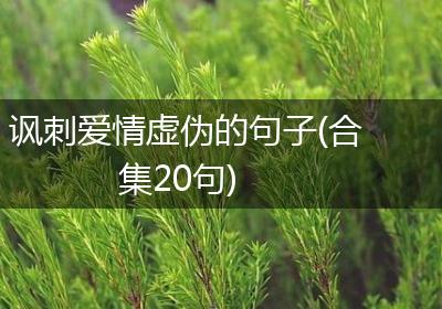讽刺爱情虚伪的句子(合集20句)