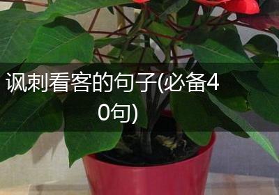 讽刺看客的句子(必备40句)