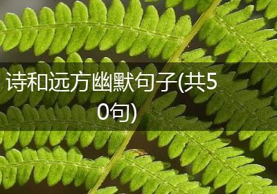 诗和远方幽默句子(共50句)