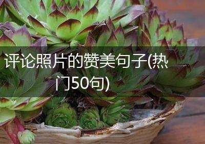 评论照片的赞美句子(热门50句)