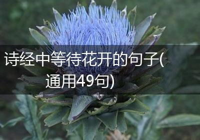 诗经中等待花开的句子(通用49句)