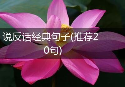 说反话经典句子(推荐20句)