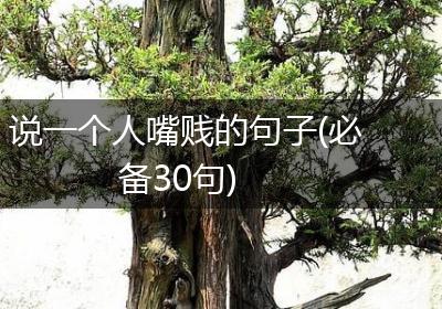 说一个人嘴贱的句子(必备30句)