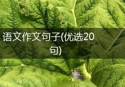 语文作文句子(优选20句)