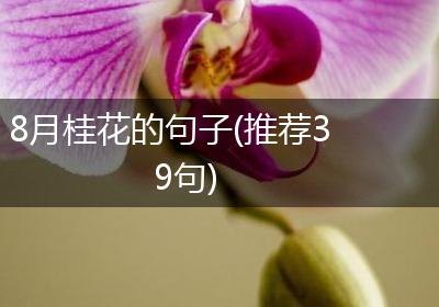 8月桂花的句子(推荐39句)