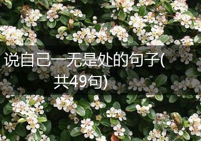说自己一无是处的句子(共49句)