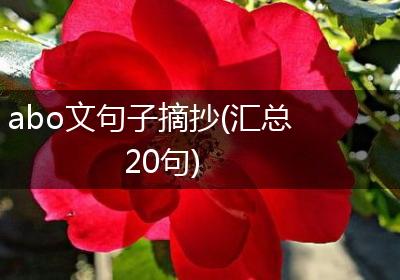 abo文句子摘抄(汇总20句)