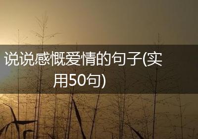 说说感慨爱情的句子(实用50句)