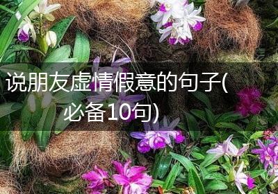 说朋友虚情假意的句子(必备10句)