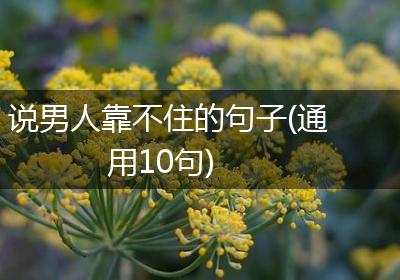 说男人靠不住的句子(通用10句)