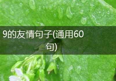 9的友情句子(通用60句)