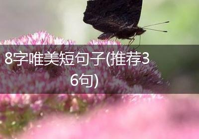 8字唯美短句子(推荐36句)