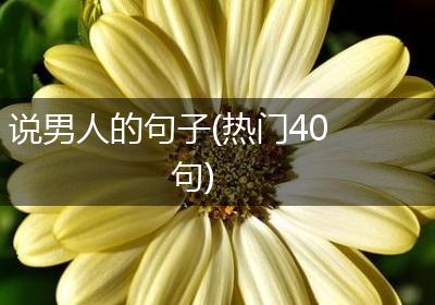 说男人的句子(热门40句)