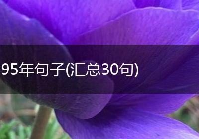 95年句子(汇总30句)