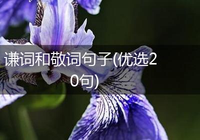 谦词和敬词句子(优选20句)