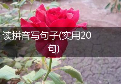 读拼音写句子(实用20句)