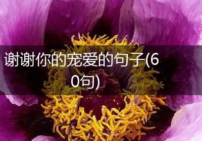 谢谢你的宠爱的句子(60句)