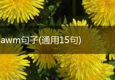 awm句子(通用15句)