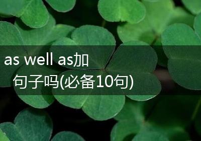 as well as加句子吗(必备10句)