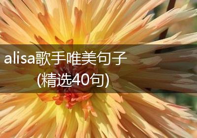 alisa歌手唯美句子(精选40句)