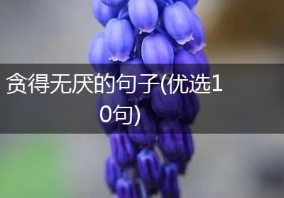 贪得无厌的句子(优选10句)