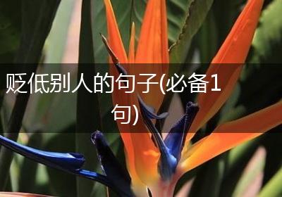 贬低别人的句子(必备1句)
