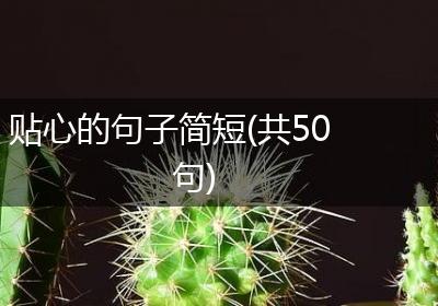 贴心的句子简短(共50句)