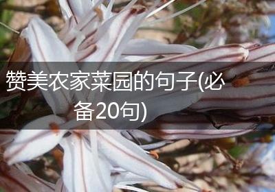 赞美农家菜园的句子(必备20句)