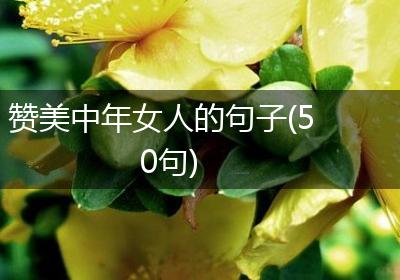 赞美中年女人的句子(50句)
