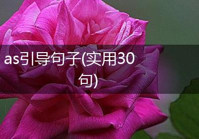 as引导句子(实用30句)