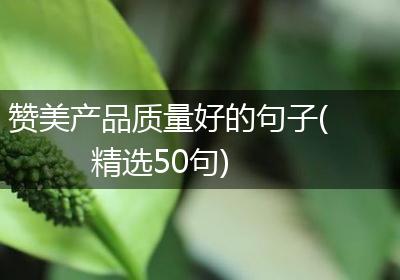 赞美产品质量好的句子(精选50句)