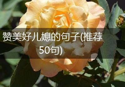 赞美好儿媳的句子(推荐50句)