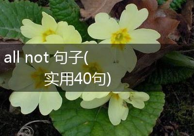 all not 句子(实用40句)