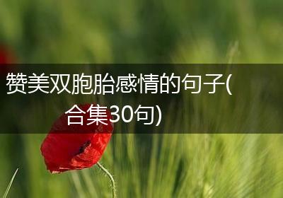 赞美双胞胎感情的句子(合集30句)