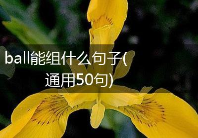 ball能组什么句子(通用50句)