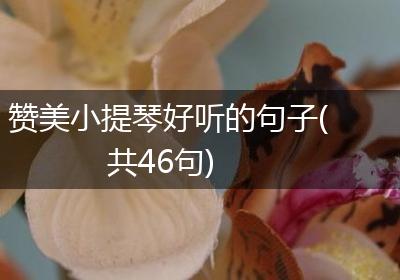 赞美小提琴好听的句子(共46句)