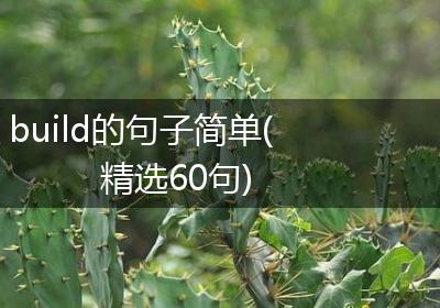 build的句子简单(精选60句)
