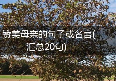 赞美母亲的句子或名言(汇总20句)