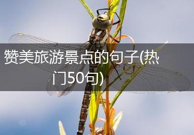赞美旅游景点的句子(热门50句)