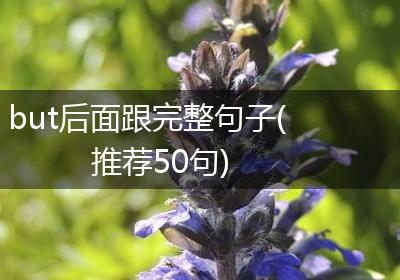 but后面跟完整句子(推荐50句)