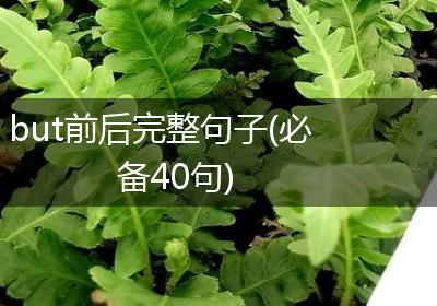 but前后完整句子(必备40句)