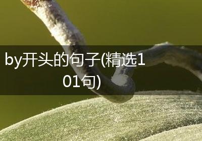 by开头的句子(精选101句)