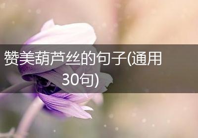 赞美葫芦丝的句子(通用30句)