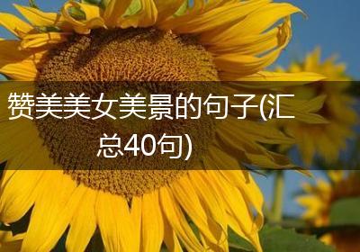 赞美美女美景的句子(汇总40句)