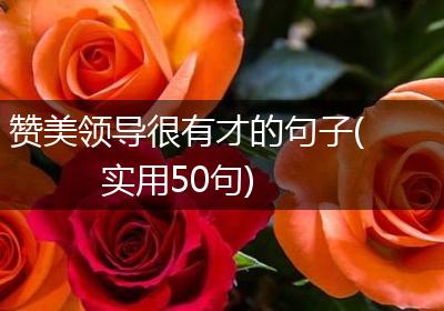 赞美领导很有才的句子(实用50句)