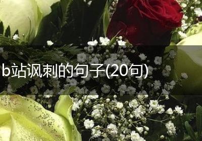 b站讽刺的句子(20句)
